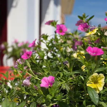 Casa Di Fiori * Lefkáda