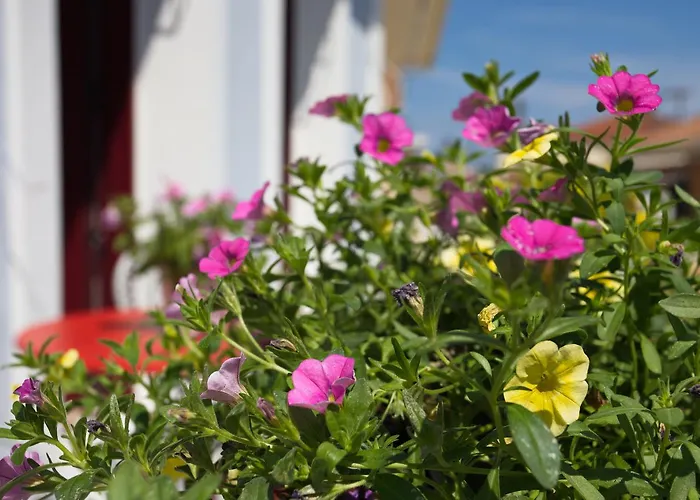 Casa Di Fiori * Lefkáda